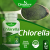 CHLORELLA - Image 2