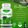 CHLORELLA - Image 3